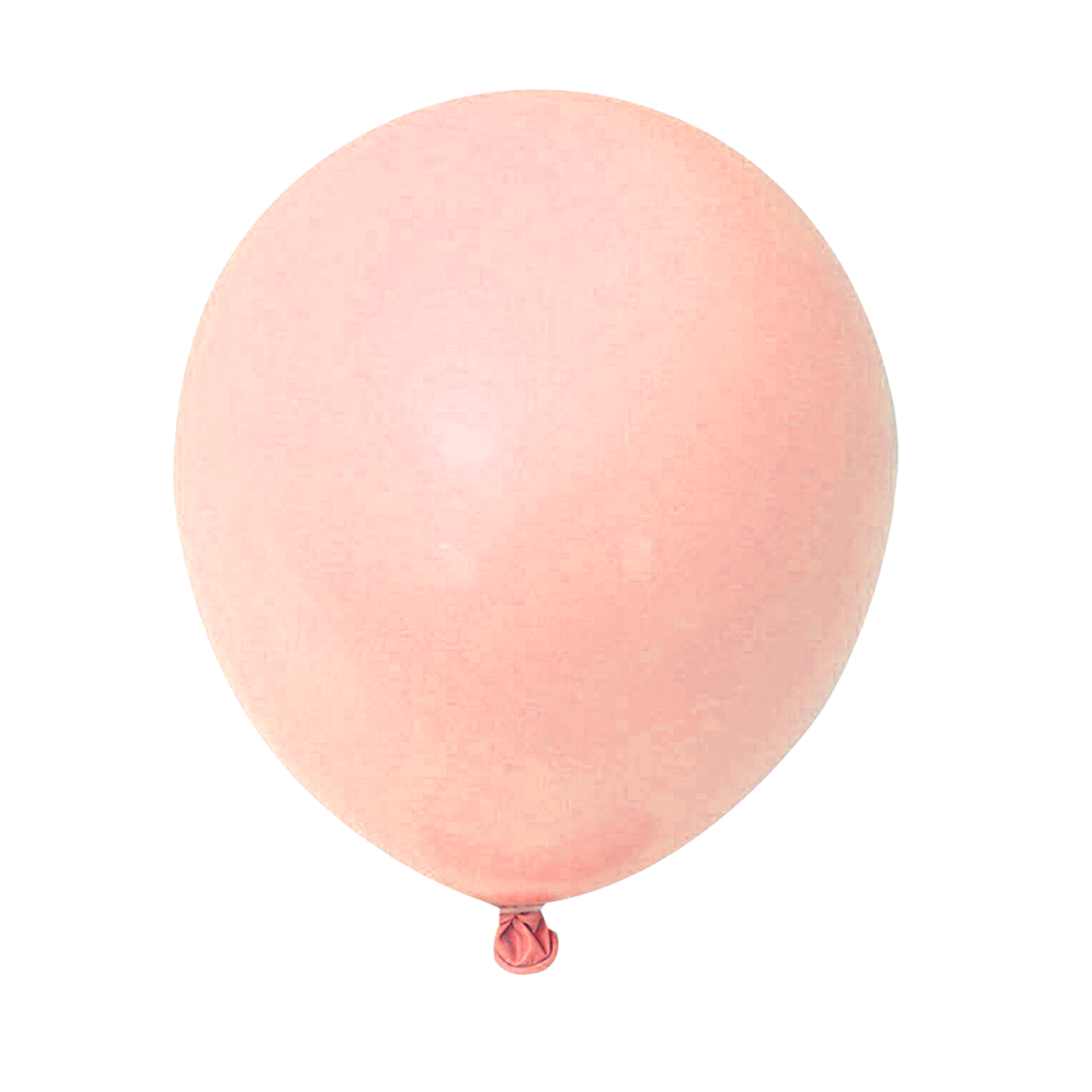 10pcs of 25cm Nude Macaron Latex Standard Helium Balloon Party Wedding Birthday